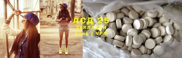 PSILOCYBIN Волосово
