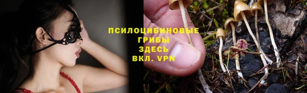 PSILOCYBIN Волосово