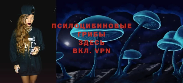 PSILOCYBIN Волосово