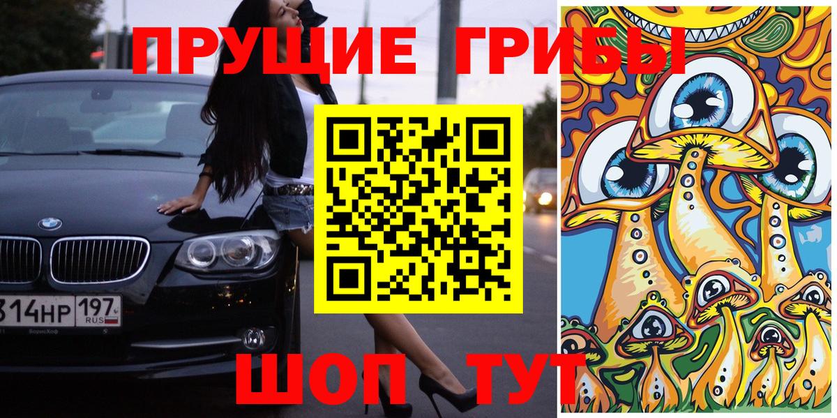 Снежинск  Псилоцибиновые грибы Psilocybine cubensis  Вход с VPN  Псилоцибиновые грибы Psilocybe 