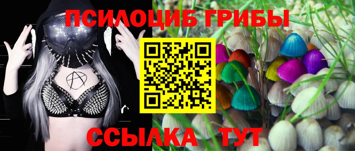 Псилоцибиновые грибы MAGIC MUSHROOMS Снежинск
